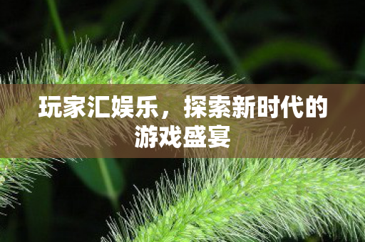 探索新时代的游戏盛宴图片