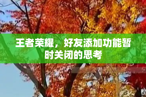 好友添加功能暂时关闭的思考图片