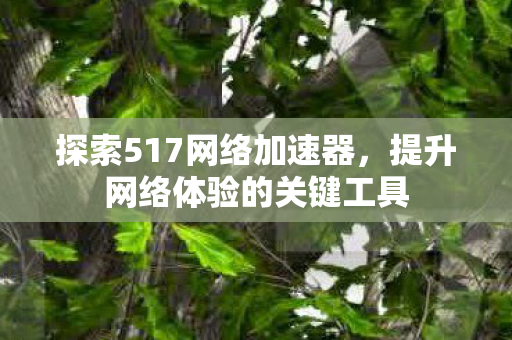 提升网络体验的关键工具图片