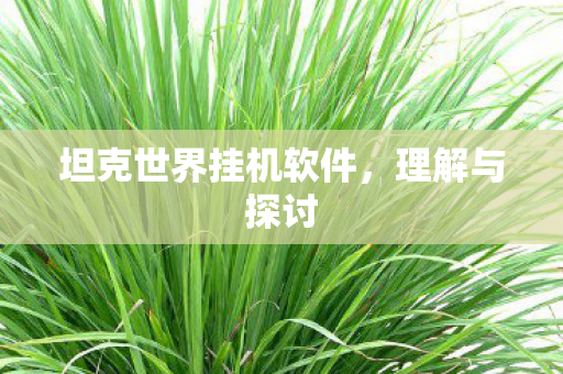 坦克世界挂机软件图片