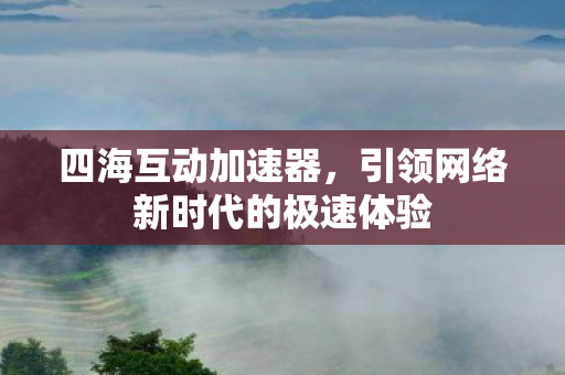 引领网络新时代的极速体验图片