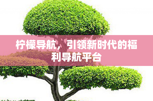 引领新时代的福利导航平台图片