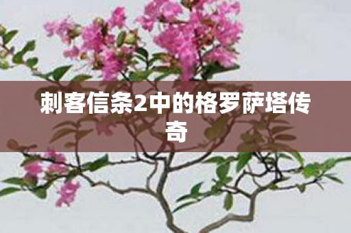 刺客信条2中的格罗萨塔传奇图片