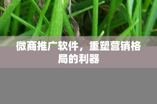 重塑营销格局的利器图片