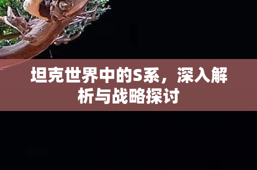 深入解析与战略探讨图片