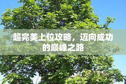 迈向成功的巅峰之路图片