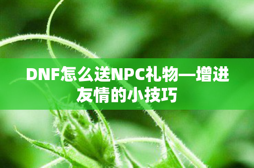 DNF怎么送NPC礼物图片