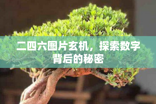 探索数字背后的秘密图片