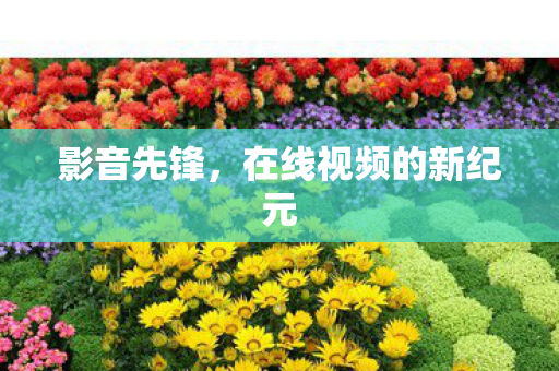 在线视频的新纪元图片