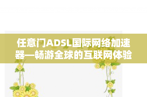 任意门ADSL国际网络加速器图片