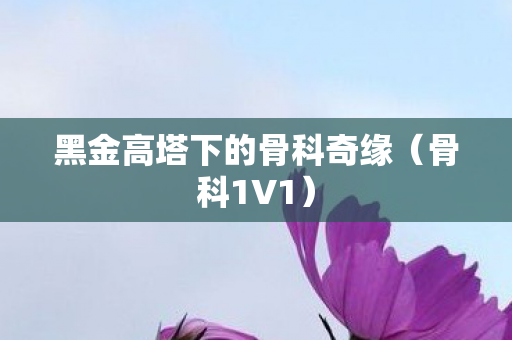 黑金高塔下的骨科奇缘图片