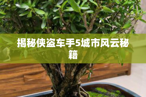 揭秘侠盗车手5城市风云秘籍图片