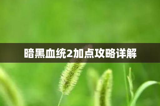 暗黑血统2加点攻略详解图片
