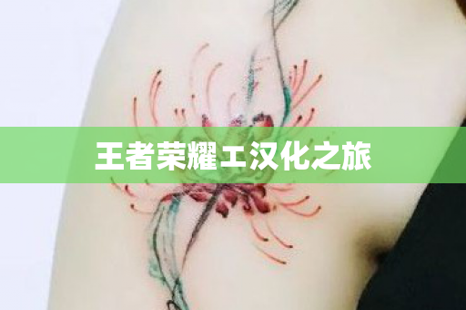 王者荣耀エ汉化之旅图片