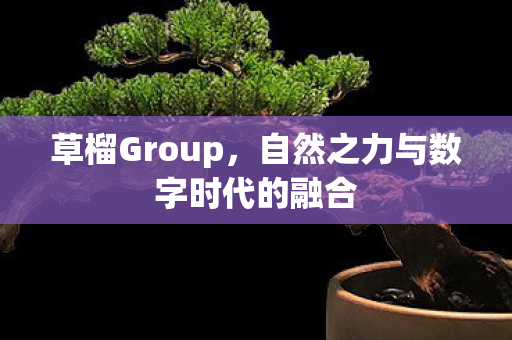 自然之力与数字时代的融合图片
