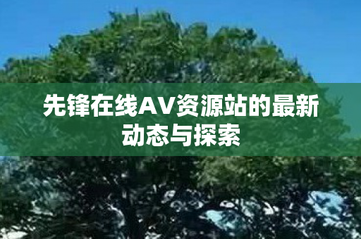 先锋在线AV资源站的最新动态与探索图片