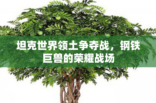 坦克世界领土争夺战图片