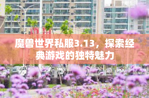 探索经典游戏的独特魅力图片