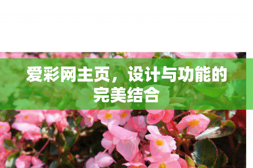 设计与功能的完美结合图片