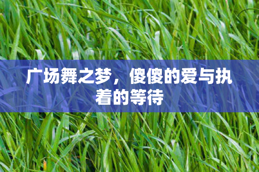 傻傻的爱与执着的等待图片