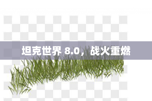 坦克世界 8图片