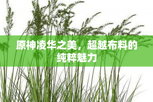 超越布料的纯粹魅力图片