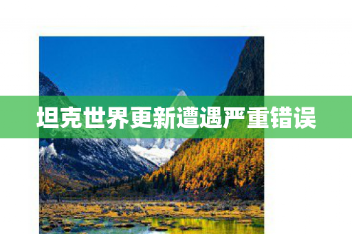 坦克世界更新遭遇严重错误图片