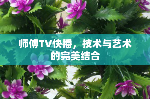 技术与艺术的完美结合图片