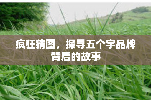 探寻五个字品牌背后的故事图片