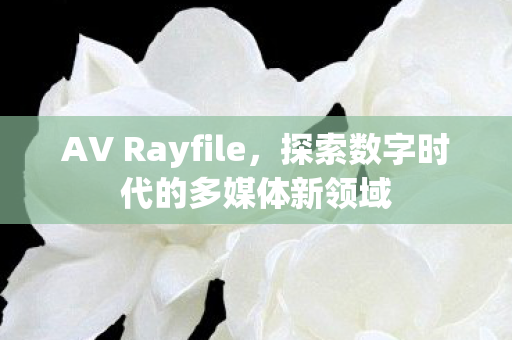 探索数字时代的多媒体新领域图片