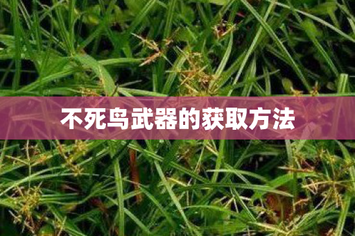 不死鸟武器的获取方法图片