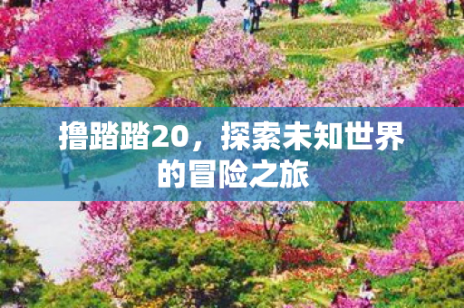 探索未知世界的冒险之旅图片