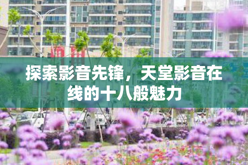 天堂影音在线的十八般魅力图片