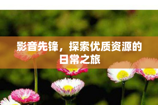 探索优质资源的日常之旅图片