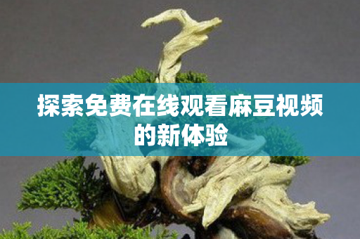 探索免费在线观看麻豆视频的新体验图片