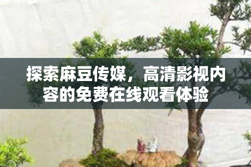 高清影视内容的免费在线观看体验图片