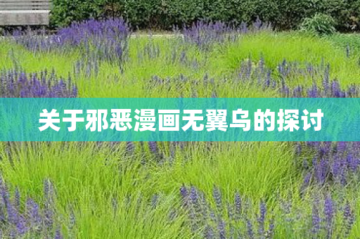 关于邪恶漫画无翼乌的探讨图片