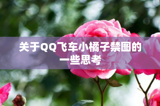 关于QQ飞车小橘子禁图的一些思考图片