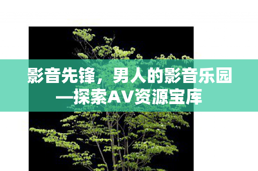 探索AV资源宝库图片