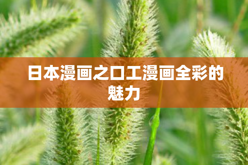 日本漫画之口工漫画全彩的魅力图片