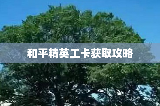 和平精英工卡获取攻略图片