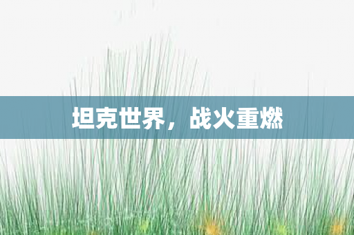 坦克世界图片