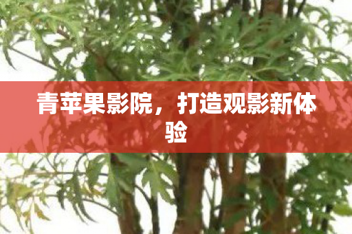 打造观影新体验图片
