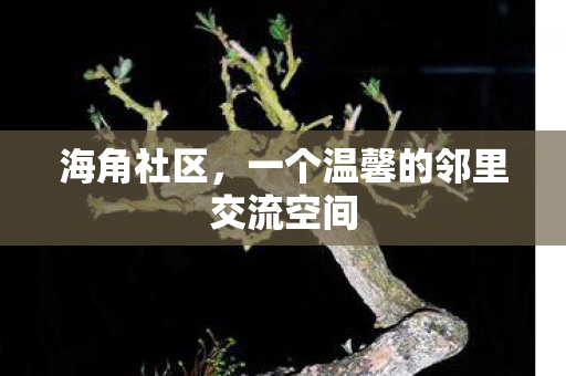 一个温馨的邻里交流空间图片