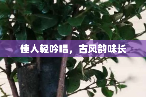 佳人轻吟唱图片