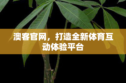 打造全新体育互动体验平台图片