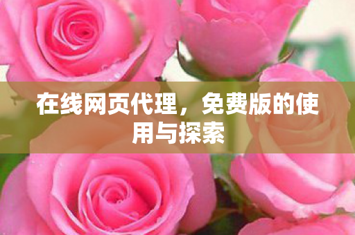 免费版的使用与探索图片