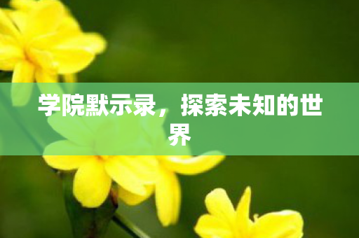 探索未知的世界图片