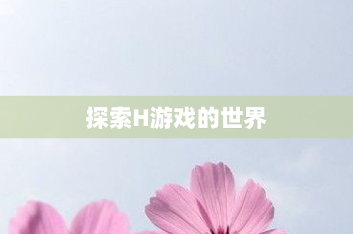 探索H游戏的世界图片