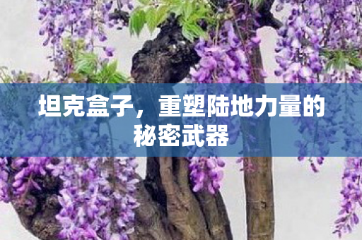 重塑陆地力量的秘密武器图片